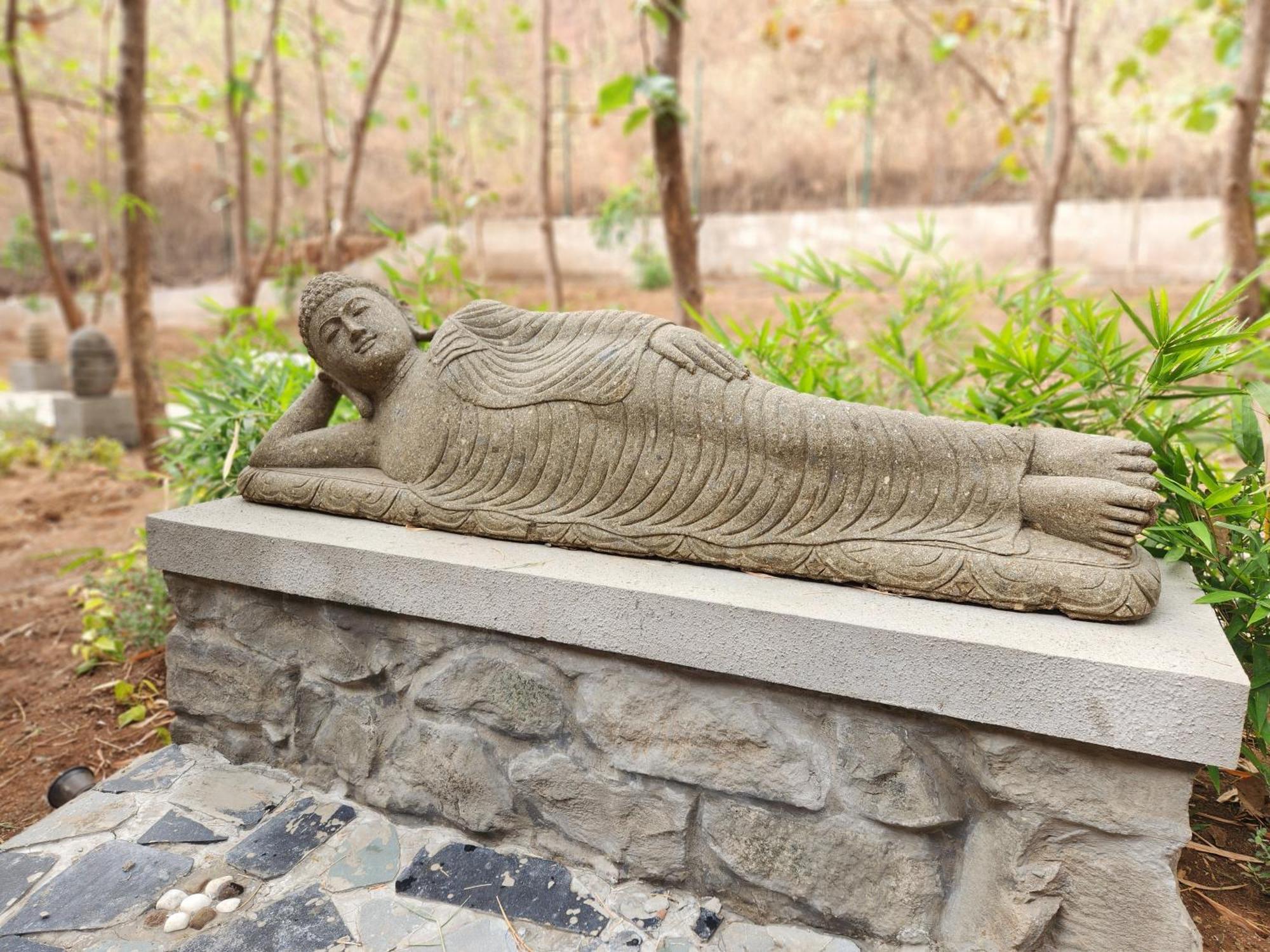 The Foresta Resort ,Mulshi Paud المظهر الخارجي الصورة